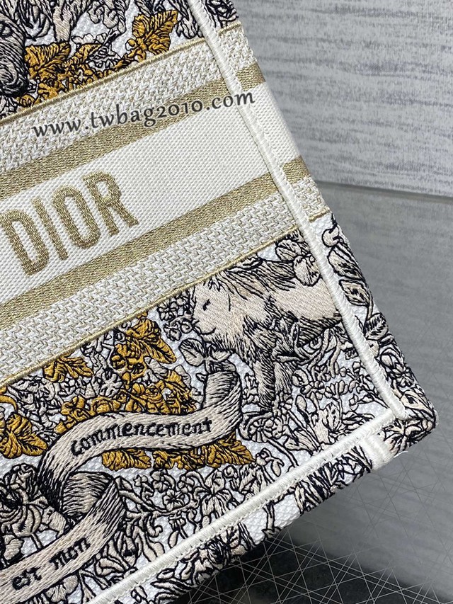 Dior专柜秋冬系列新款托特包迪奥高仿原单Tote包Around the world大号手提购物袋 djfk1700